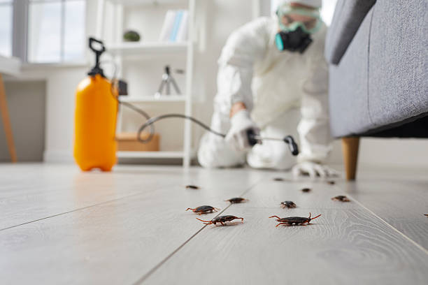 Commercial Kitchen Cockroach Control in Bull Run Mountain Estates